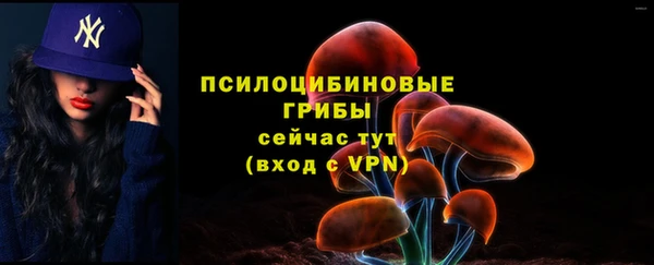 гидропоника Верхний Тагил