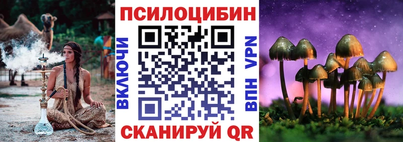 Псилоцибиновые грибы Psilocybine cubensis  Верхоянск 